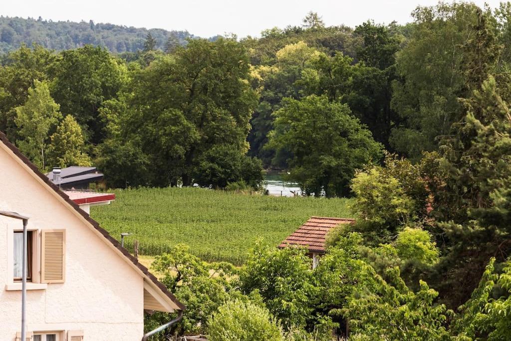 Luxury On The Rhein *