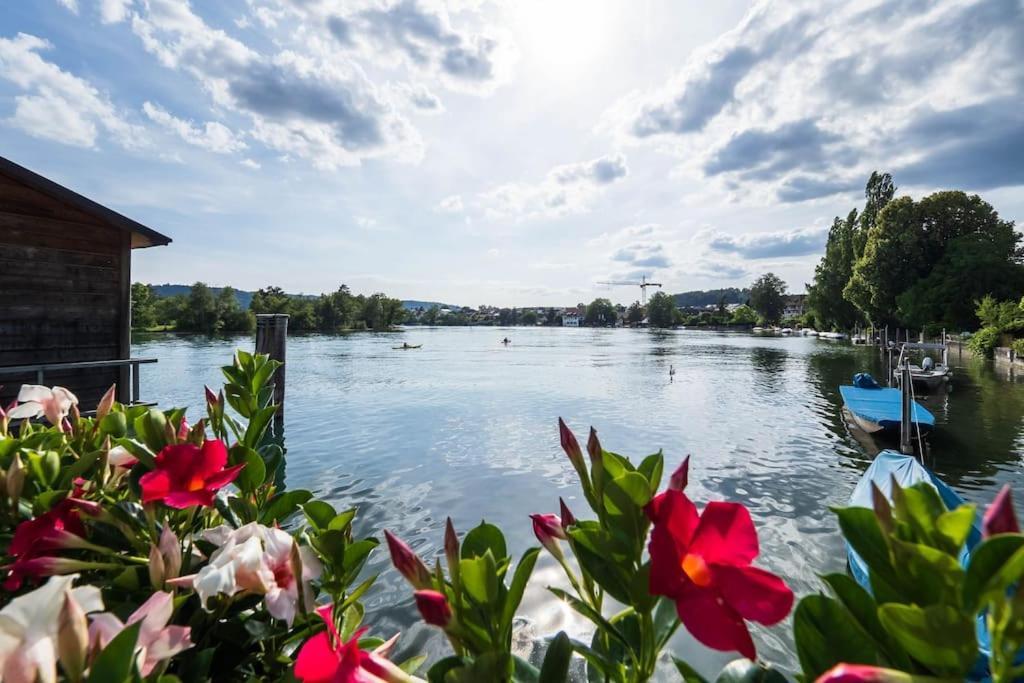 Luxury On The Rhein *