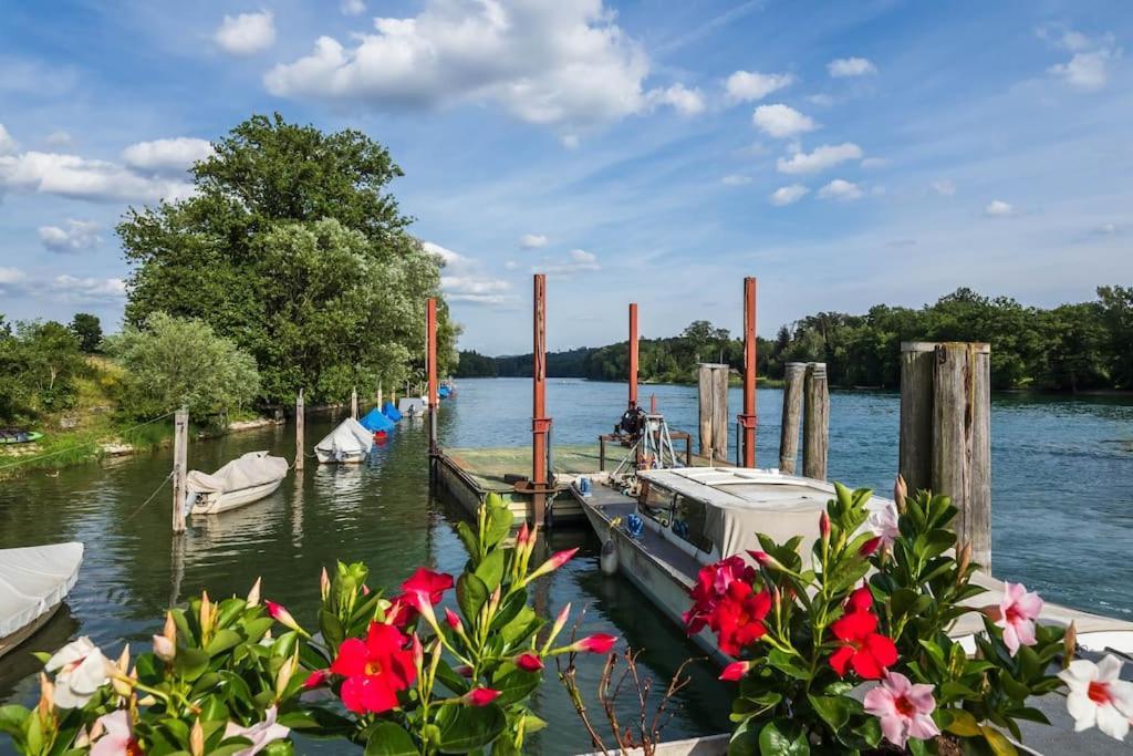 Luxury On The Rhein Apartment Busingen am Hochrhein