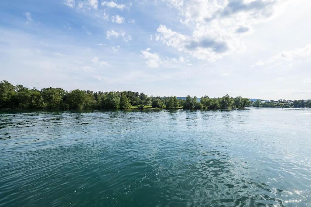 Apartment Luxury On The Rhein Busingen am Hochrhein