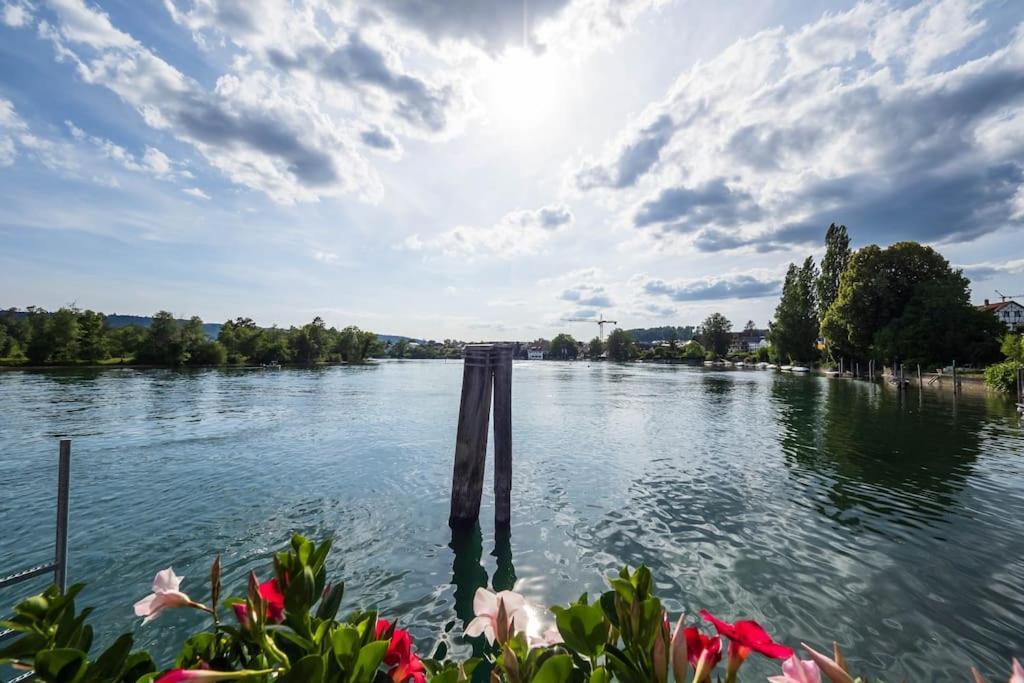 Apartment Luxury On The Rhein *