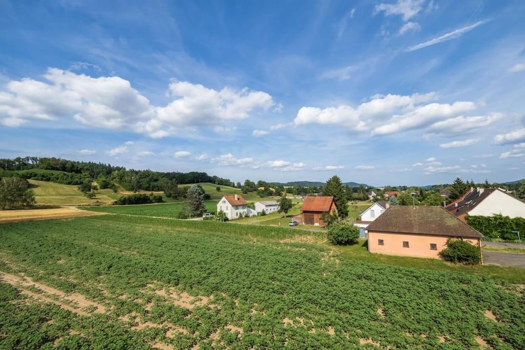 Luxury On The Rhein * Busingen am Hochrhein